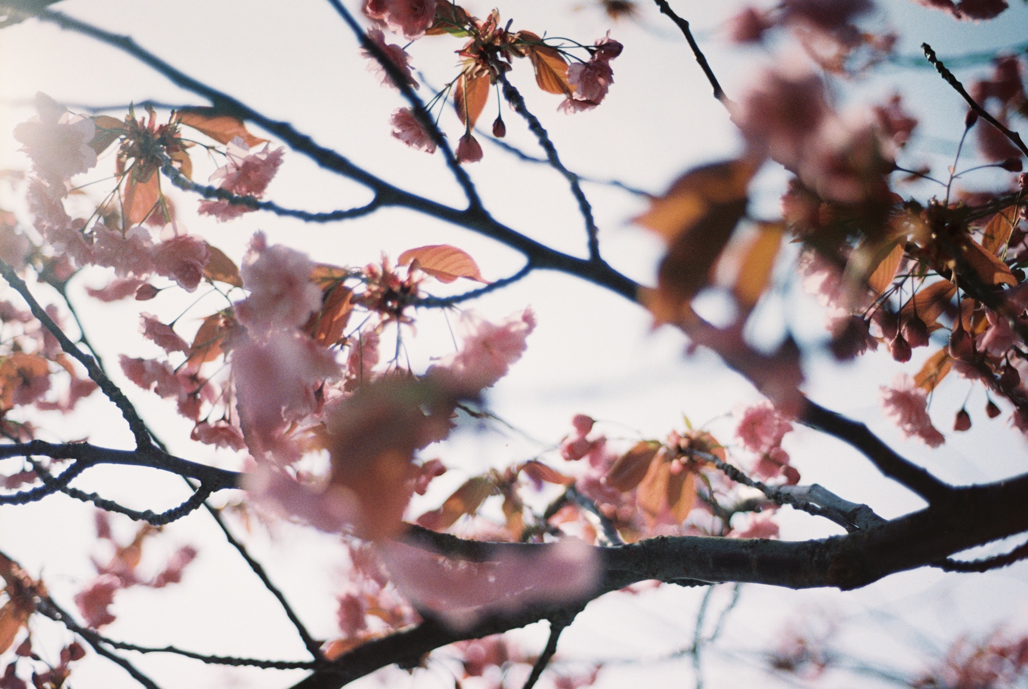 A breeze came and the air got easier to breathe